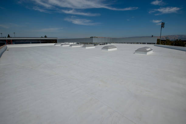 Best Flat Roofing  in Lake Holiday, IN